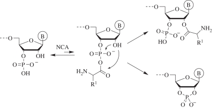 Scheme 5.