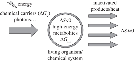 Scheme 1.