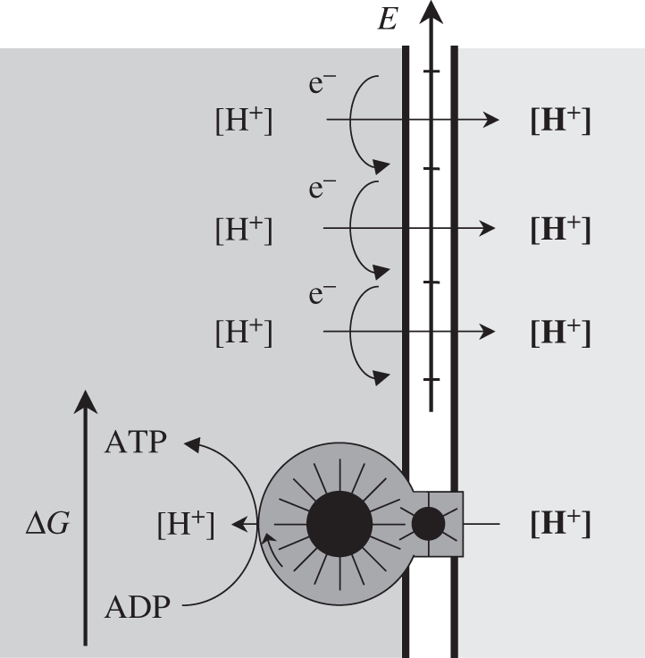 Scheme 2.