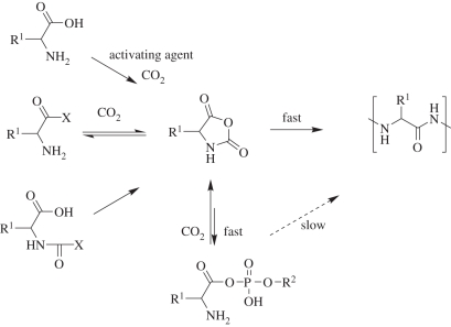 Scheme 4.