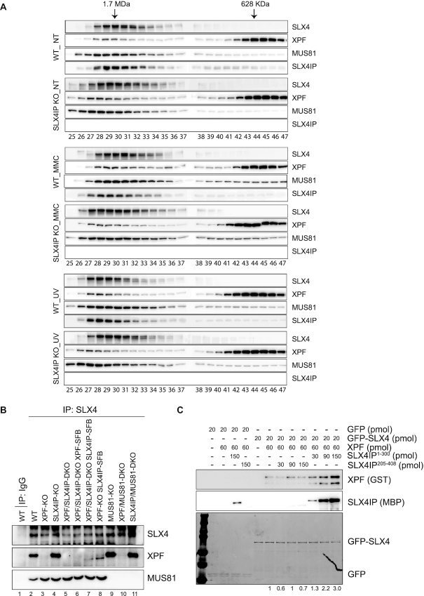 Figure 7.