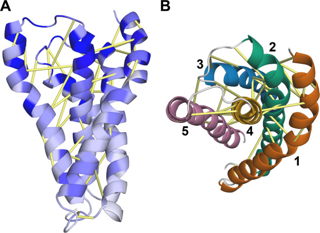 Fig. 4