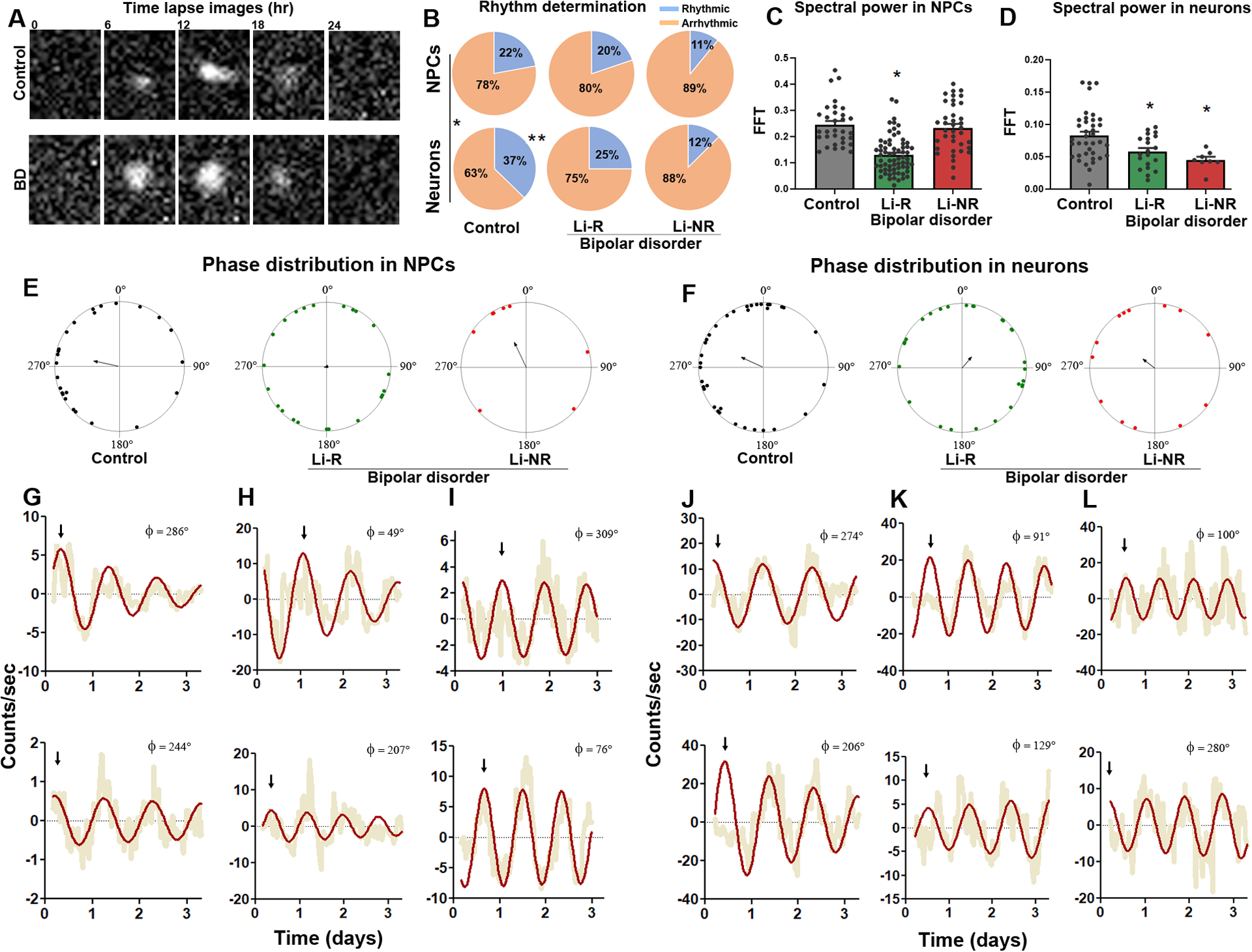 Figure 3: