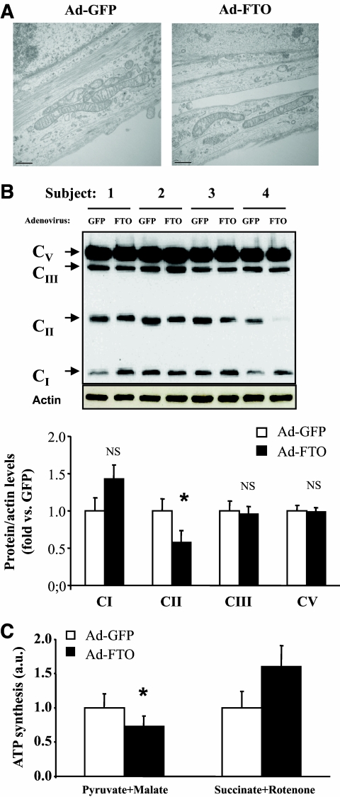 FIG. 5.