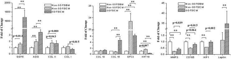 FIG. 5.