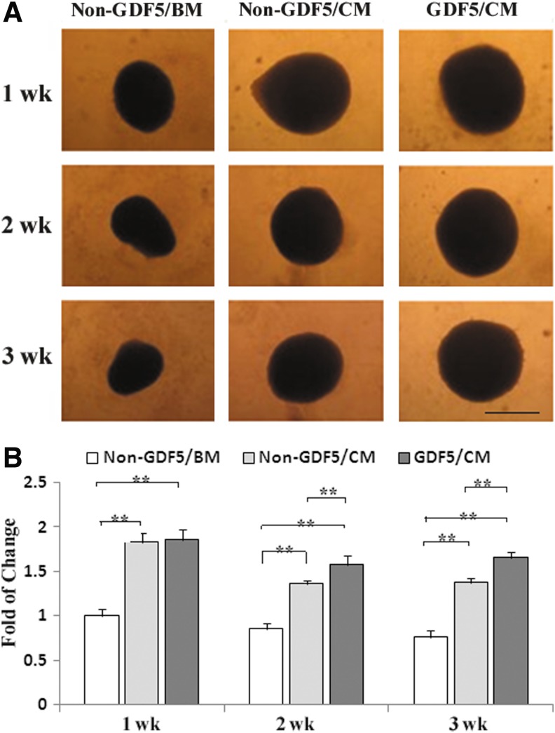 FIG. 2.