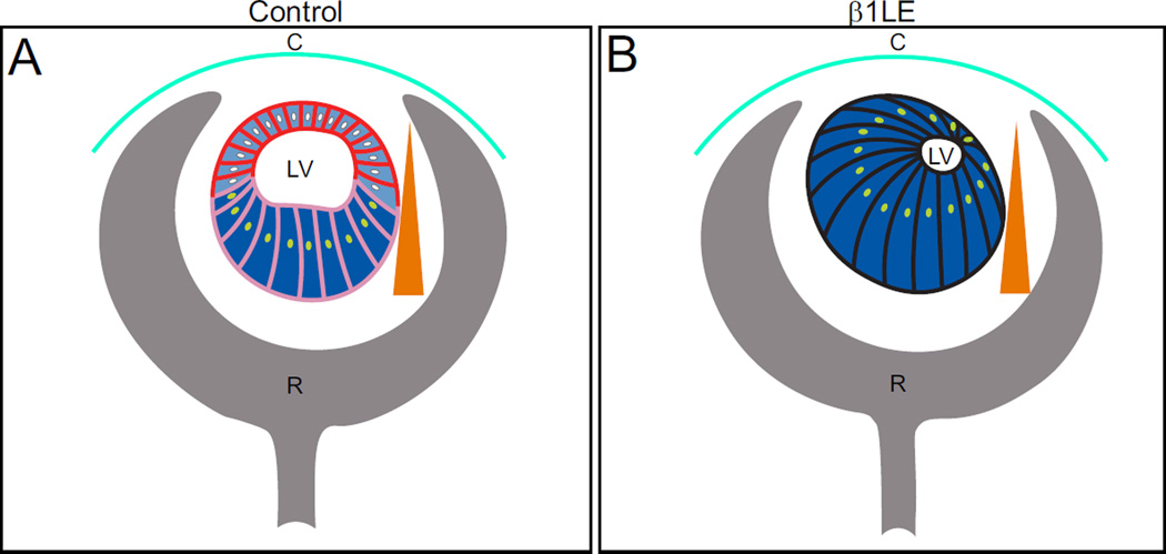 Figure 8