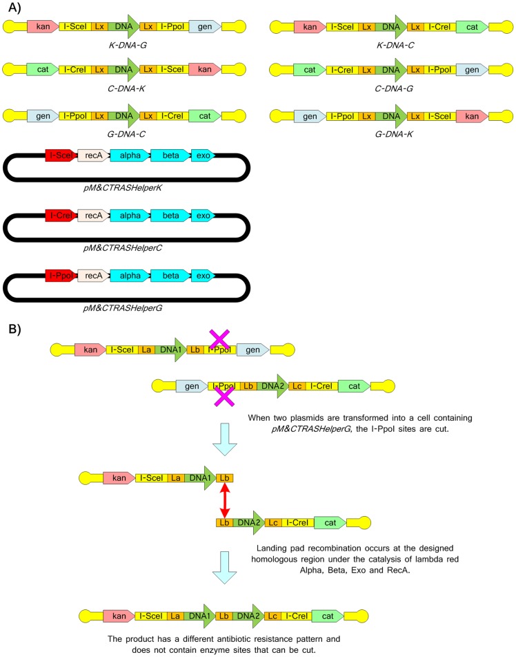 Figure 9