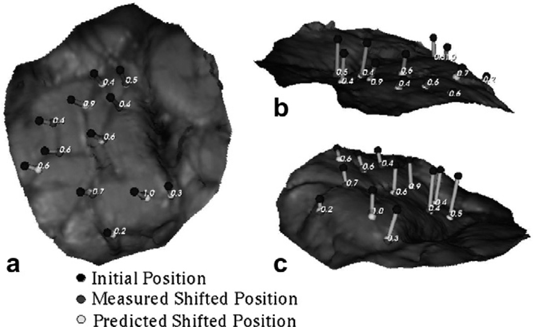 Fig. 10