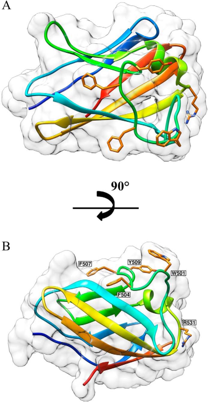 FIGURE 5.