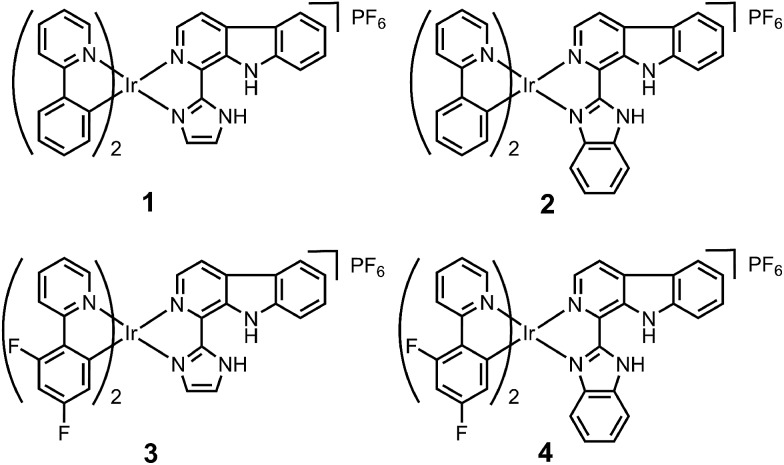 Fig. 1