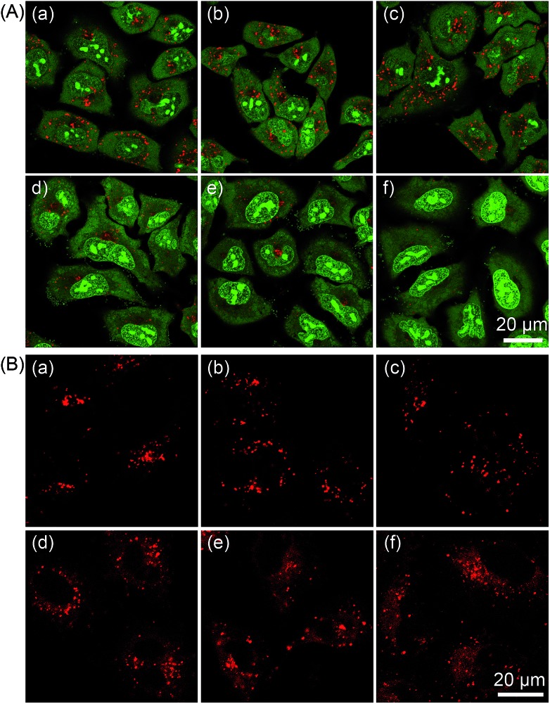 Fig. 9