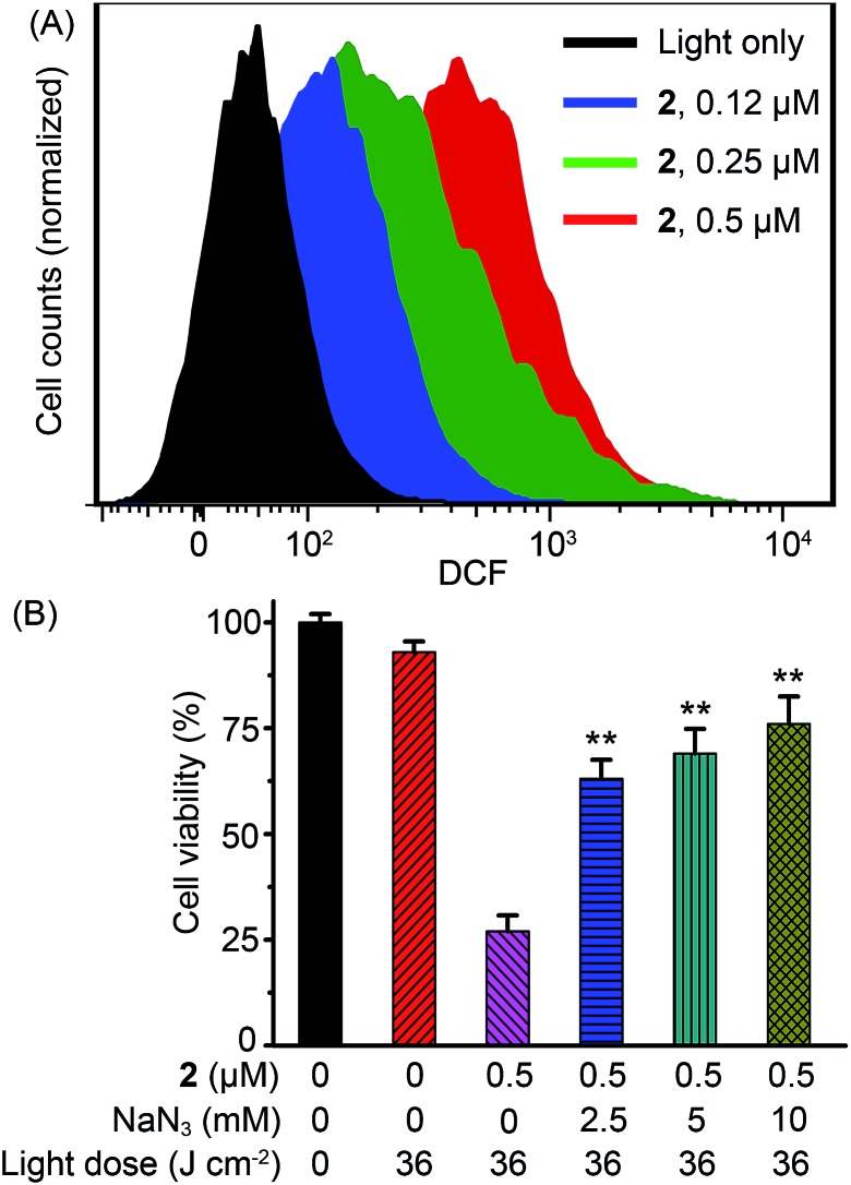 Fig. 8