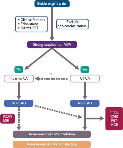 Figure 1: