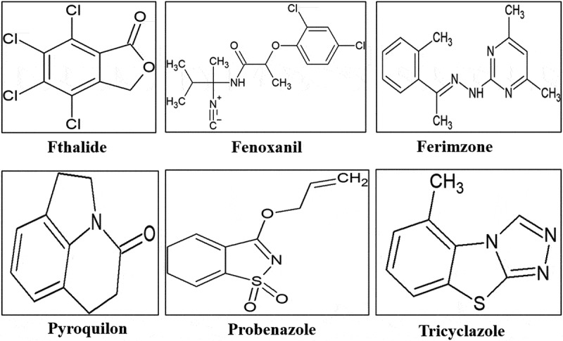 Figure 6.