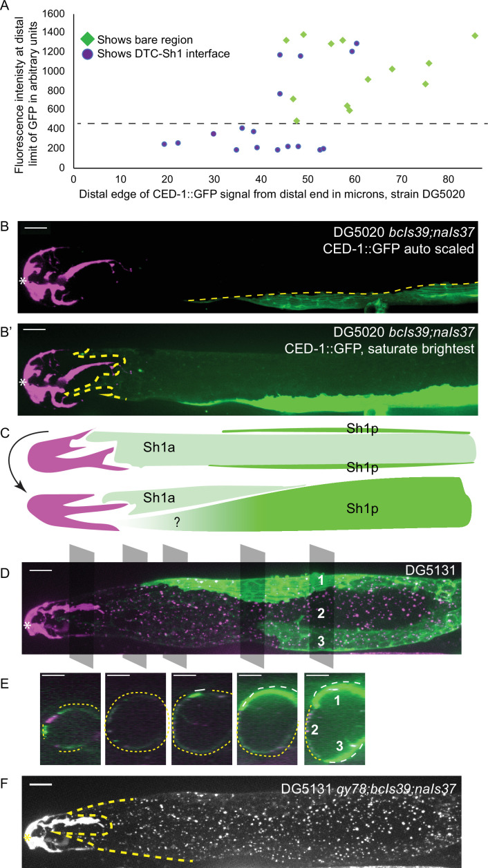 Figure 3.