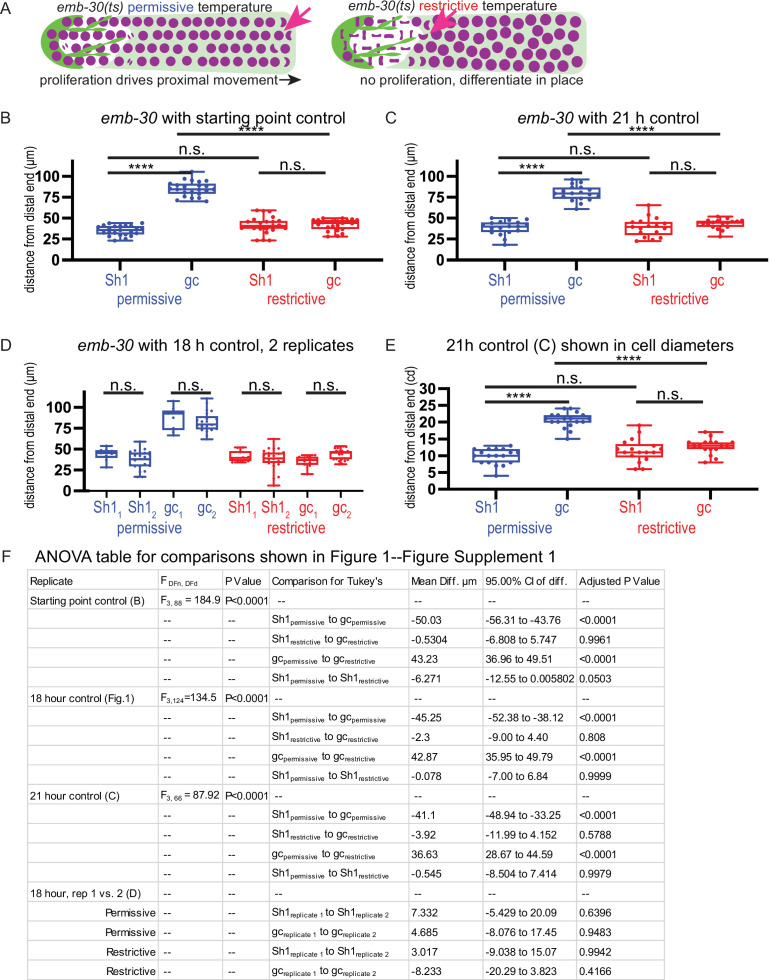 Figure 1—figure supplement 1.