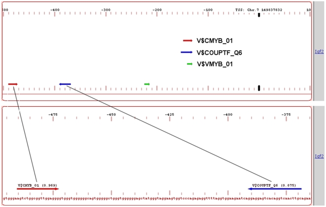 Figure 9