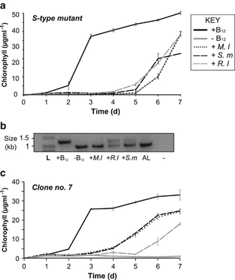 Figure 5