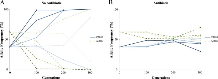 FIG 2