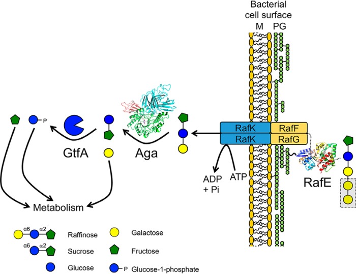 Figure 6.