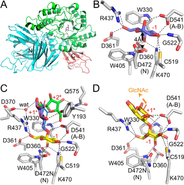 Figure 4.