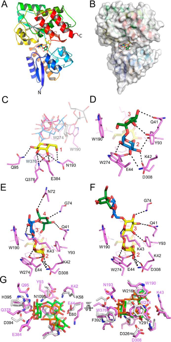 Figure 2.