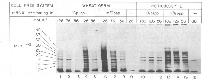 graphic file with name pnas00030-0158-a.jpg