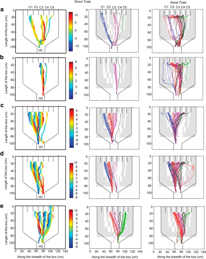 Figure 5.