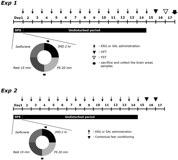 Fig. 2