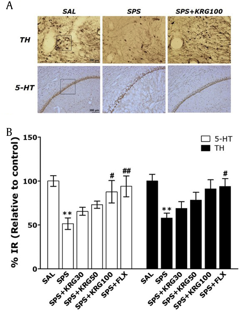 Fig. 7