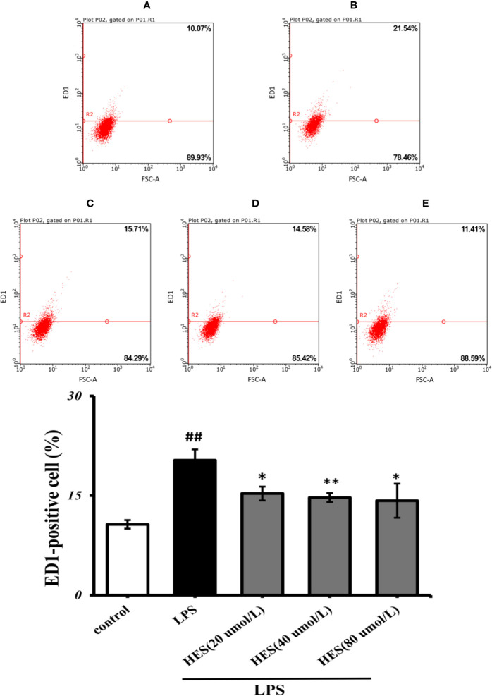 Figure 6