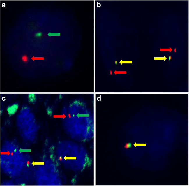 Fig. 4