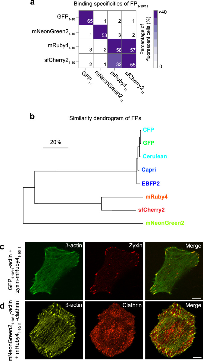 Fig. 3