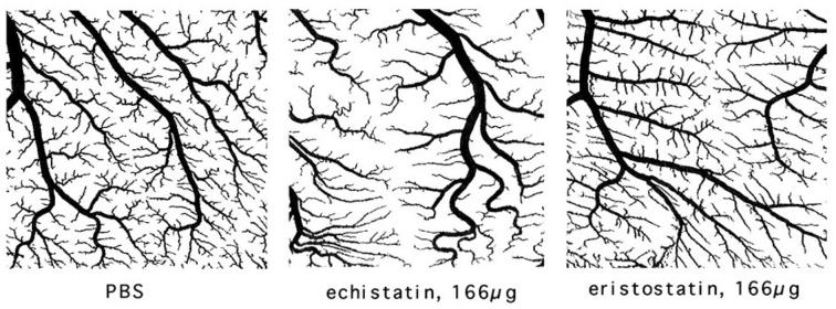 Fig.6