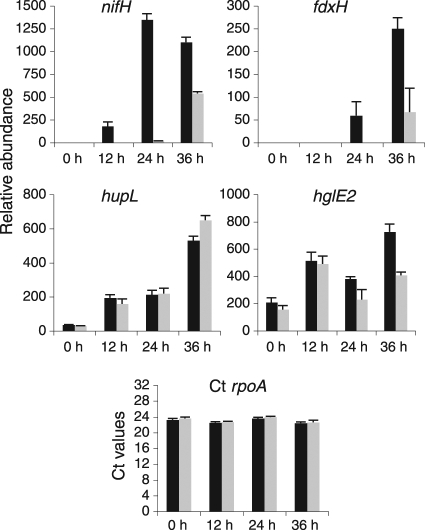 Fig. 7.