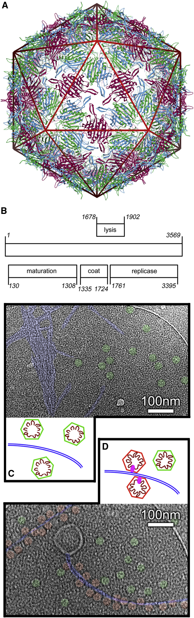 Figure 1