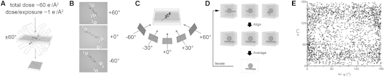 Figure 7