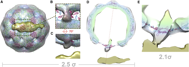 Figure 6