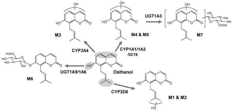 Figure 6