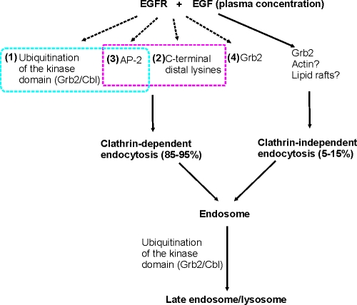 Figure 9.