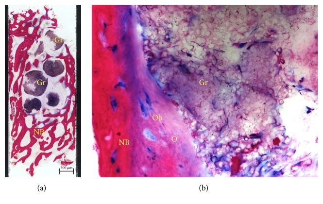 Figure 9