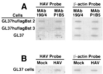 FIG. 9