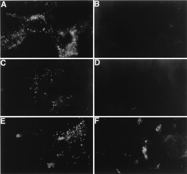 FIG. 8