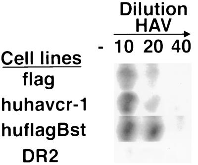 FIG. 7