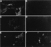 FIG. 8