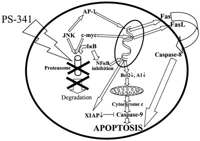 Fig 4.