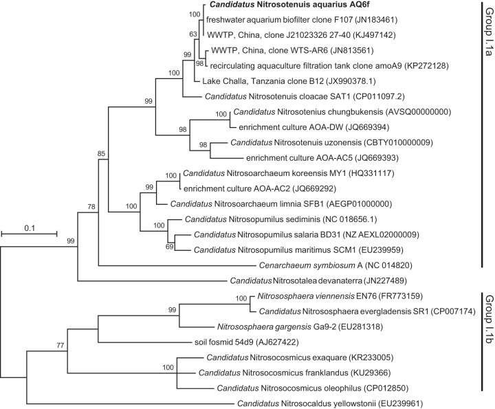 FIG 3