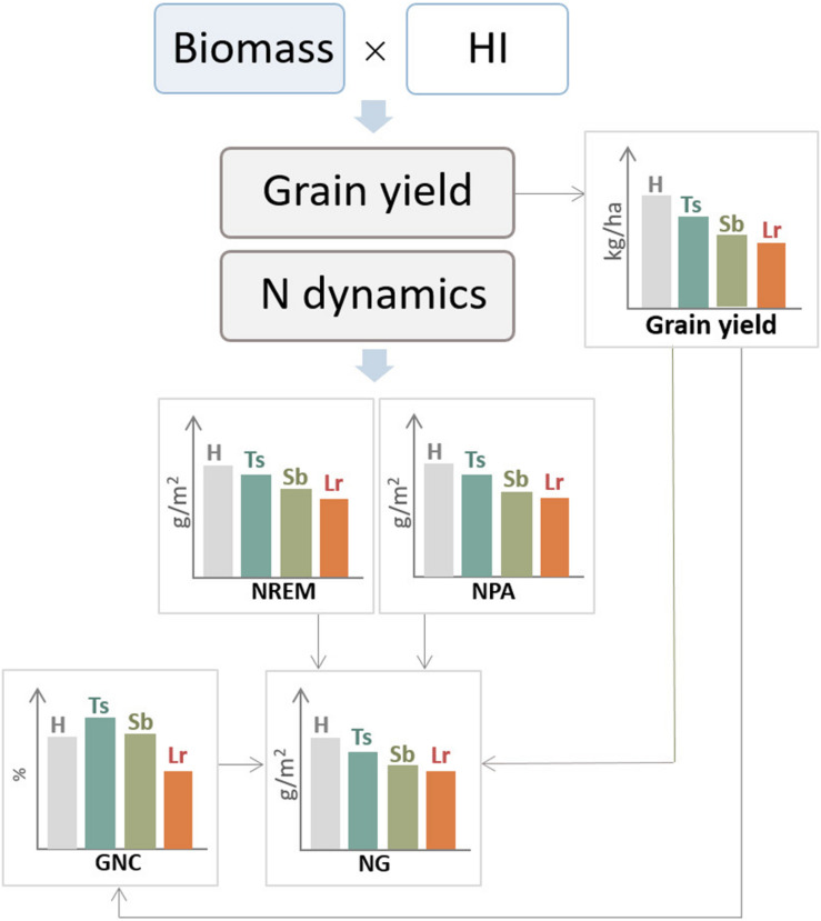 FIGURE 6