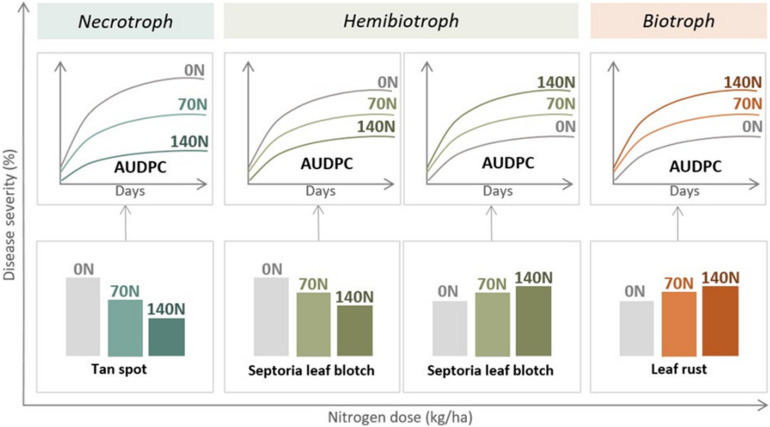 FIGURE 3